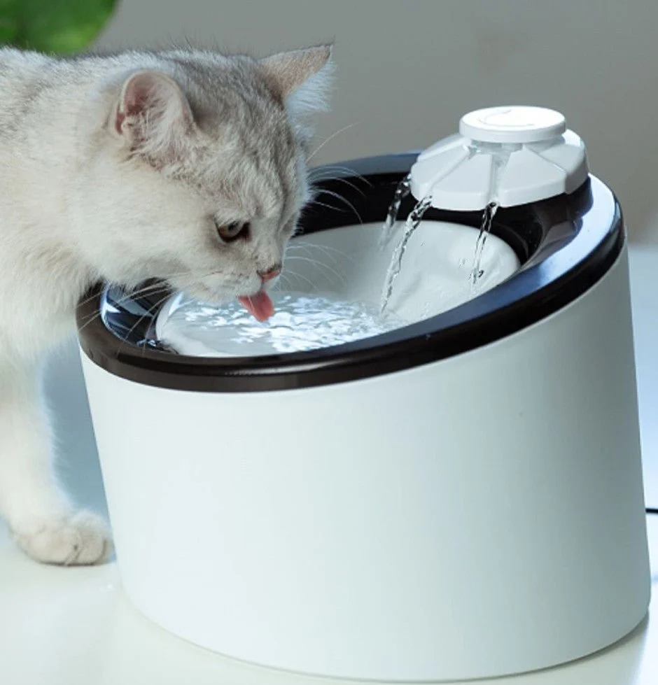 Fontaine à eau automatique « AquaFlow » 2,4 L