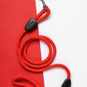 Laisse corde réfléchissante pour chien — 1,5 m